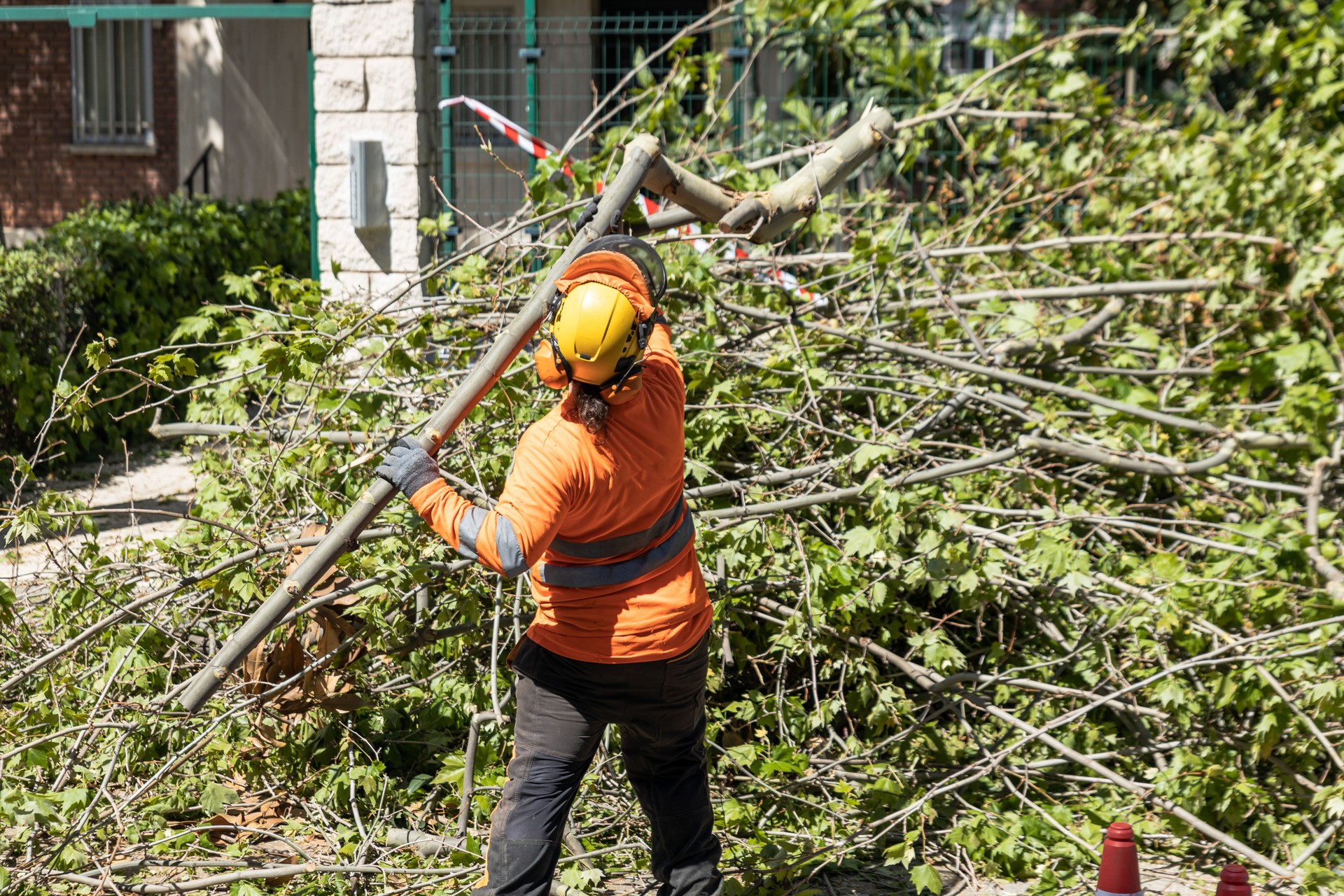 Gardening worker in the field performing pruning and preparation for waste collection in a residential area of the city.